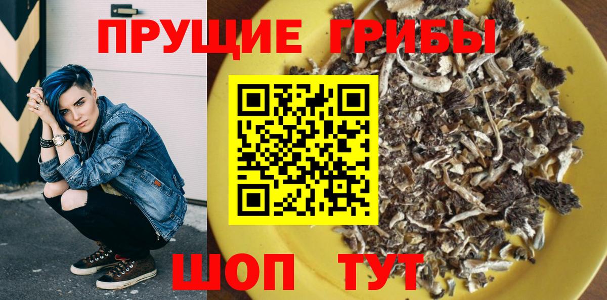 Галлюциногенные грибы Cubensis Кохма