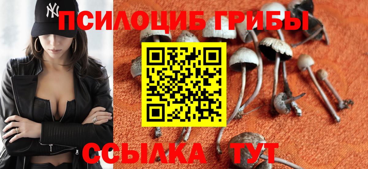 Галлюциногенные грибы прущие грибы  Вход с VPN  Псилоцибиновые грибы Cubensis  Кохма 